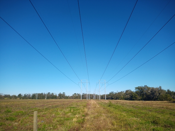 Threats to the Electric Grid – Grid Down Situation